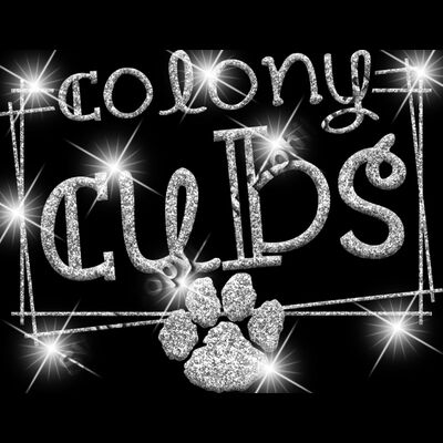 GLT90 SILVER GLITTER Thumbnail