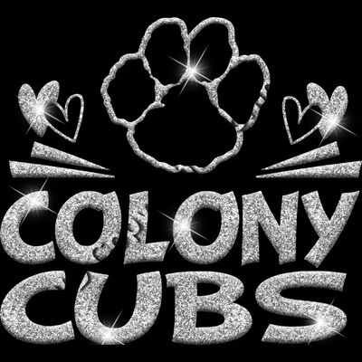 GLT88 SILVER GLITTER Thumbnail